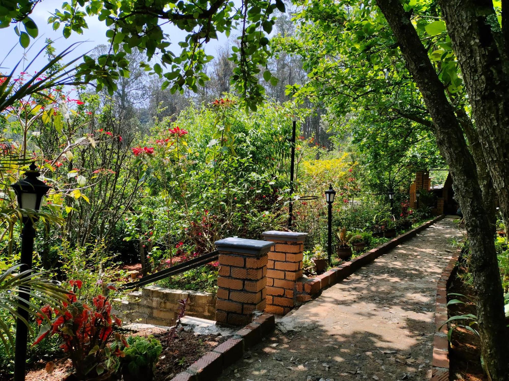 Pear Tree Entire 2Bhk Villa Kotagiri Zewnętrze zdjęcie